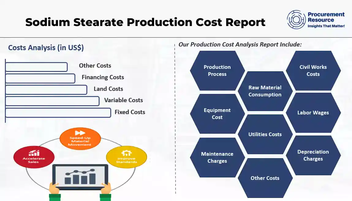 Sodium Stearate Production Cost Report