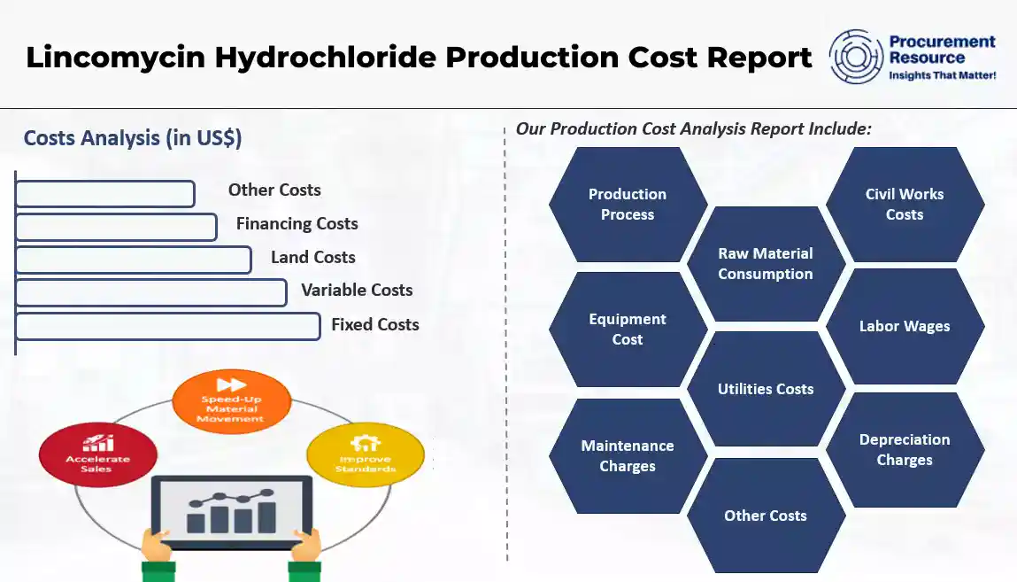 Lincomycin Hydrochloride Production Cost Report