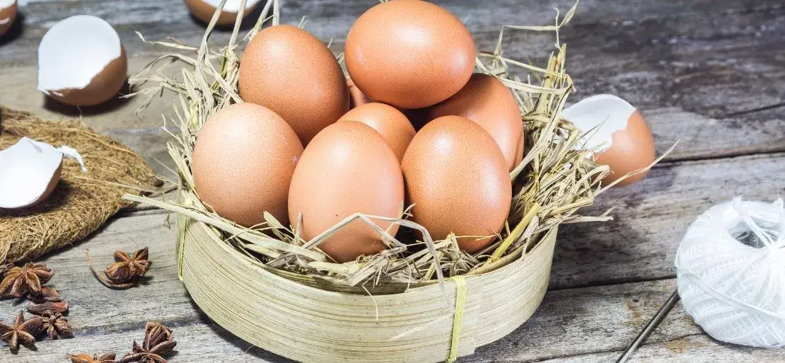 The Benefits of Farm Fresh Eggs and How is It Different from Store-Bought Eggs