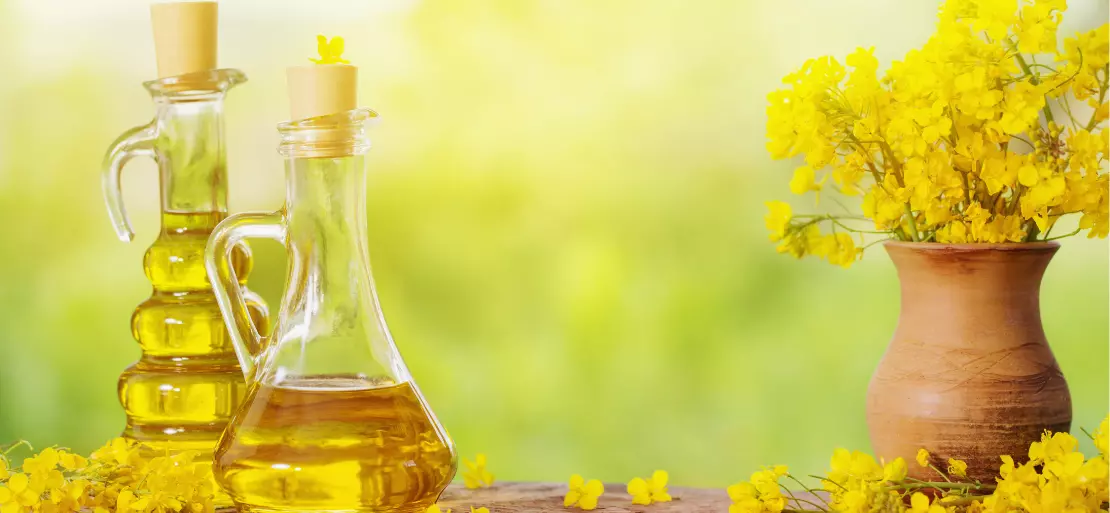 Rapeseed Oil’s Increasing Demand in Food and Personal Care Sectors