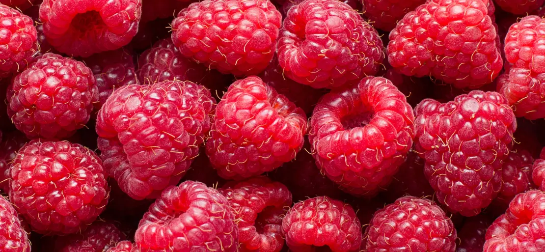 About Raspberries