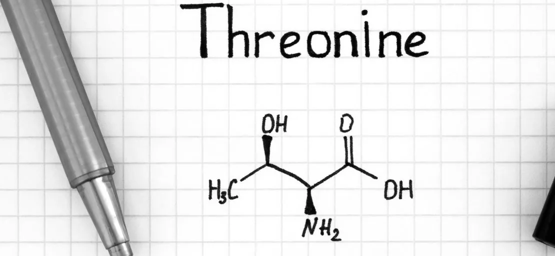Threonine Sources, Benefits, and Global Market