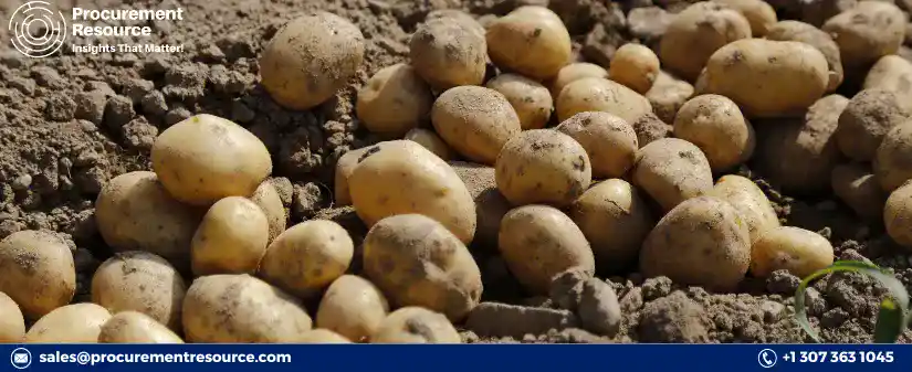 Potato Producers in the World