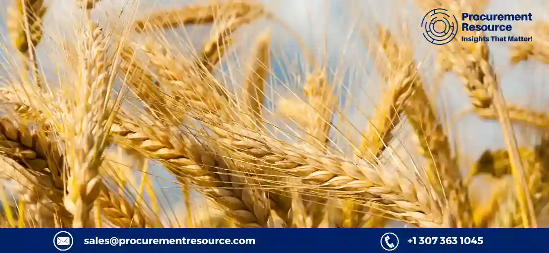 Overview of Wheat and its Demand