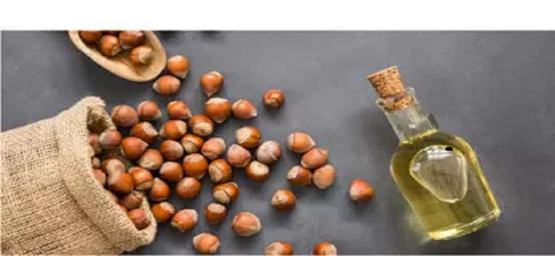 The Global Development of Hazelnuts Market