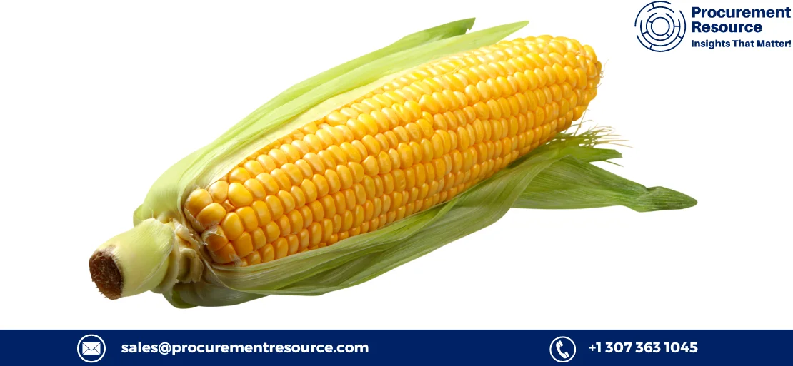 Corn Market Trends