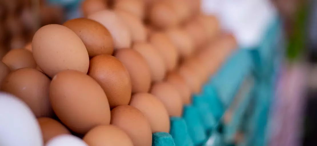Eggs Market and Its Growing Global Demand