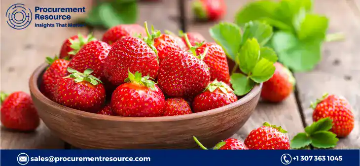 Strawberries Producers in the USA