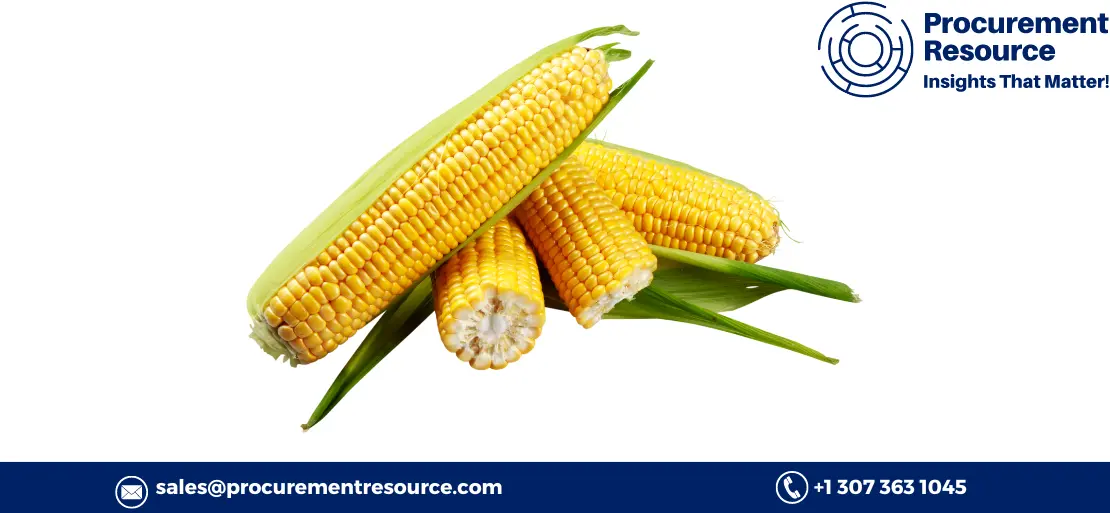 Top US Corn Producers