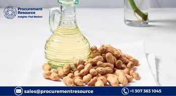 Groundnut Oil Prices to Remain Firm in 2023