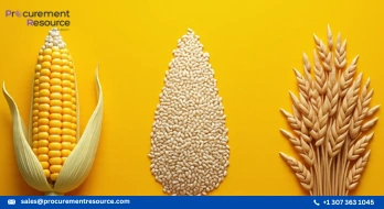 Maize Wheat and Rice See Varied Price Shifts
