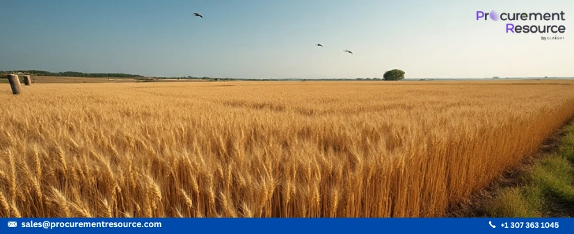 The Government raises the reserve price for wheat and rise
