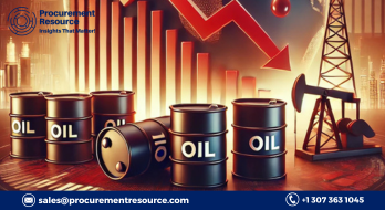 Global oil prices went down in 2024 amid oversupply across the globe