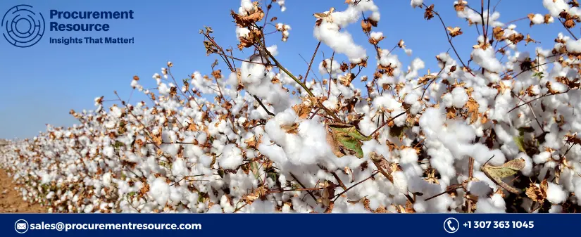 Cotton Production Prices Might Pull Back