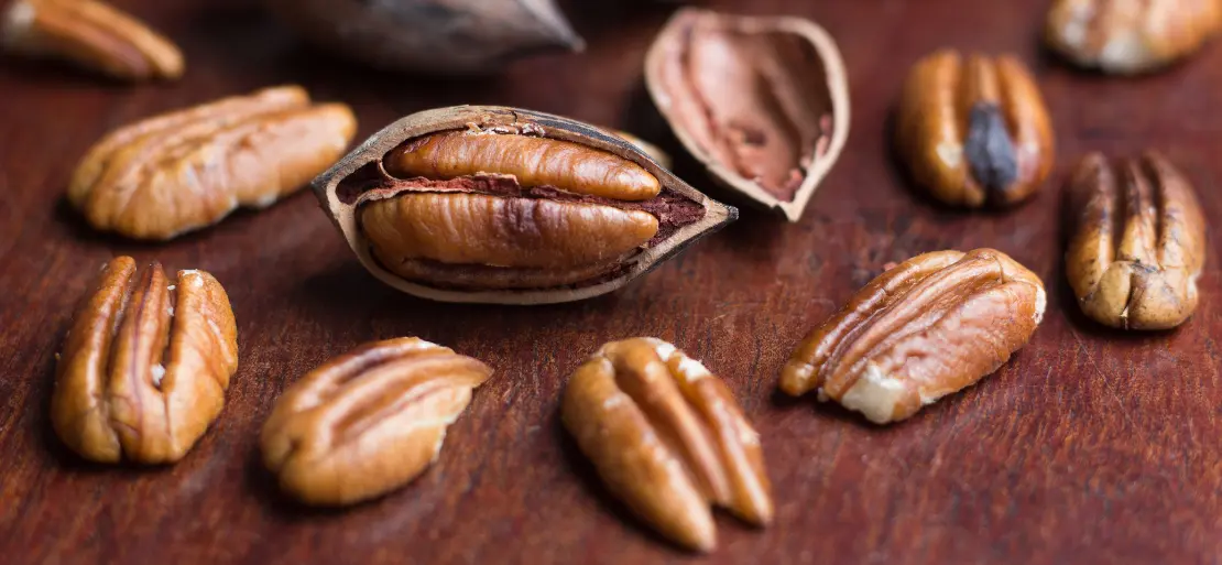 Noticeable Drop in the Pecan Crop Production in North America