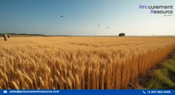 The Government raises the reserve price for wheat and rise