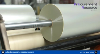 New BOPET Thin Film Production Line