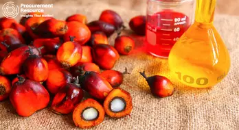 India-Malaysia Palm Oil Trade: Towards the Path of Reconciliation