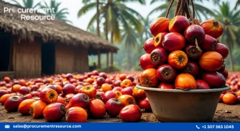 Palm oil prices recently witnessed a rebound