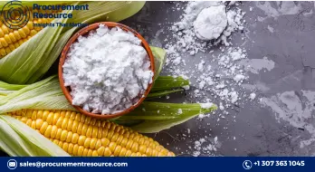 Corn Starch prices in China