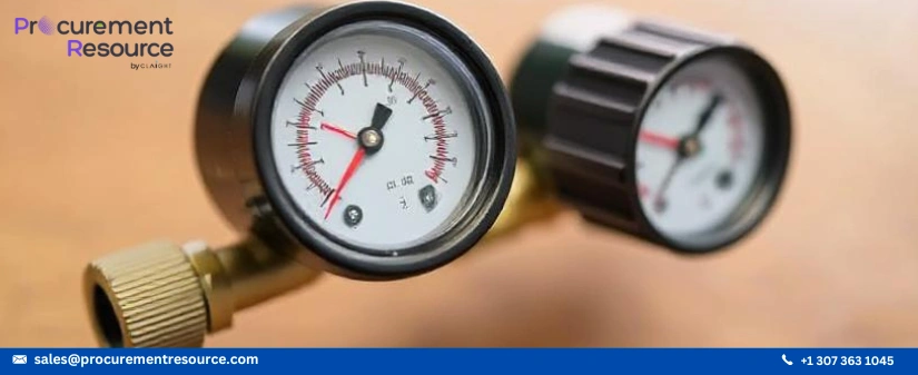 Capable Diaphragm Gas Meter in Europe