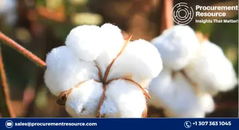 Cotton Production Prices Might Pull Back