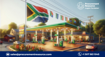 Fuel prices in South Africa have been officiated to witness a rise effective from December 2024