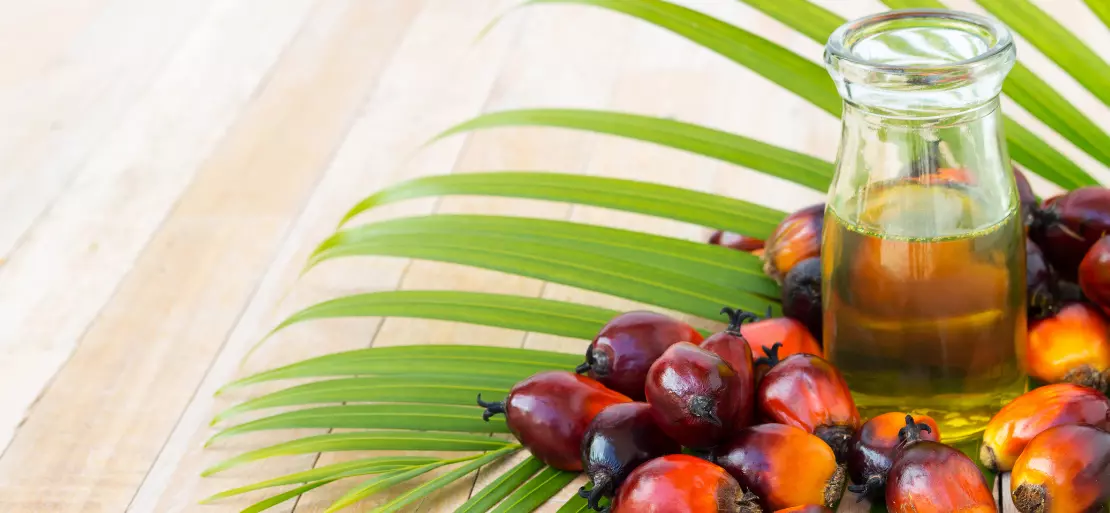 Crude Palm Oil Current Import Duty Reduced to 5.5 percent to Lower the Edible Oil Prices