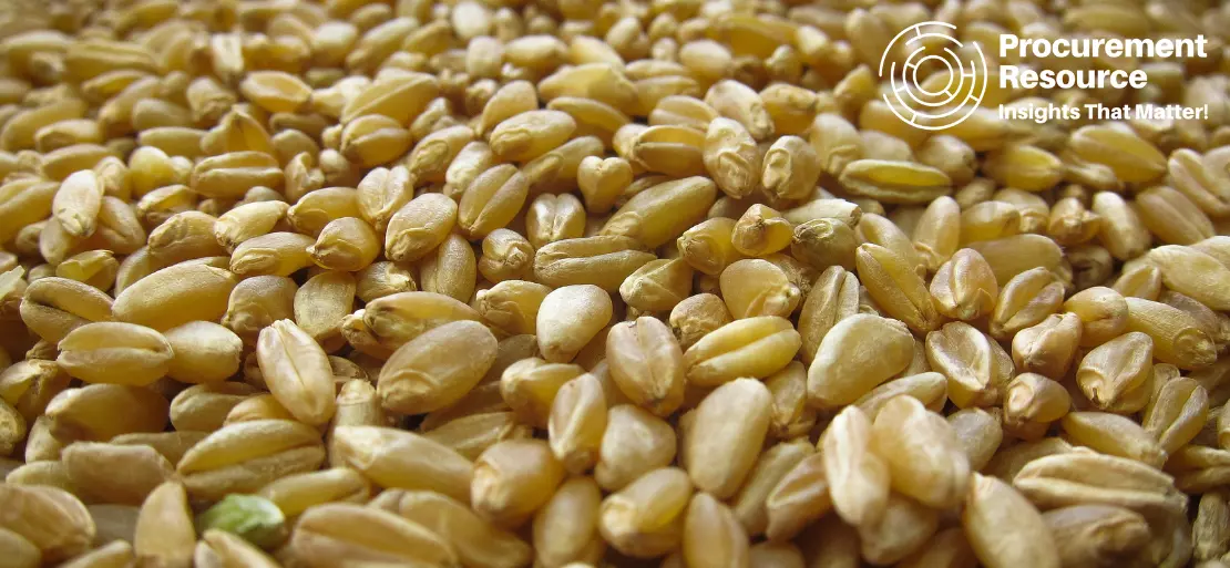 Durum Wheat