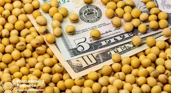 Soybean Prices in the United States are Expected to Grow, Due to Significant Exports and Low Stockpiles