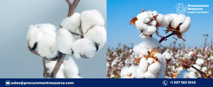 Cotton prices