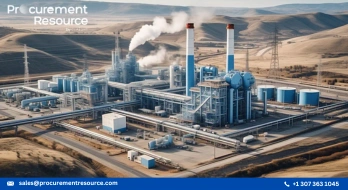 Largest Blue Hydrogen Plant