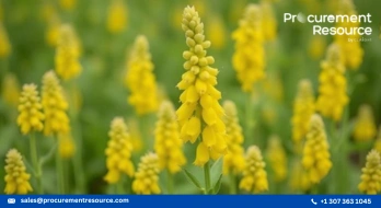 Rapeseed future prices in Paris