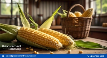 US Corn prices have been experiencing a downward trend