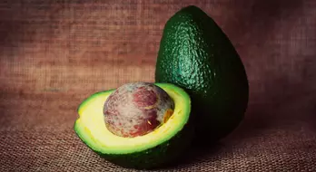 Avocado Supplies in California were Depleted in 2021 due to the Drought