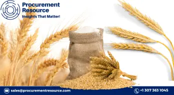 Wheat production in Egypt