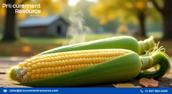 USDA Initial Corn Price Estimates Misalign with Real-Time Market Data