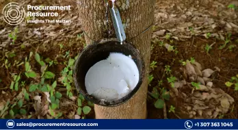 The Natural Rubber Market in China