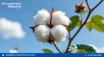 Cotton prices recently witnessed a rise in prices amid improvement in demand