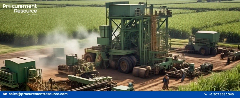 Sugar Prices Rising in India Amid Ethanol Demand and Low Sugarcane Production