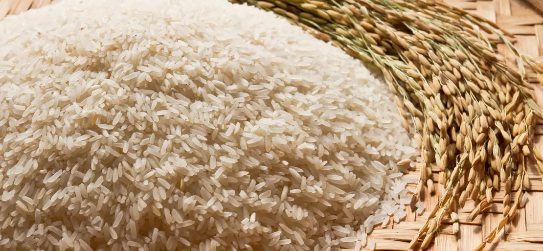 Rice Industry is Facing Pressure Due to Rising Fertiliser Costs and Brisk Demand