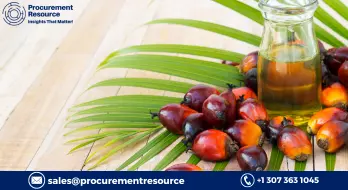 Palm Oil Increased due to Lower Export Duties