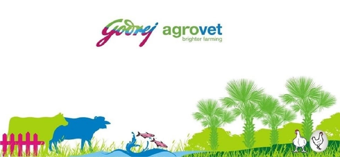 Godrej Agrovet Profit Before Tax Heightens by 92.4 percent