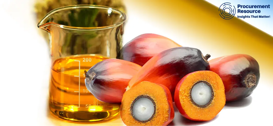 Malaysian Palm Oil Prices to Recover in 2019