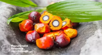 Palm Oil Prices