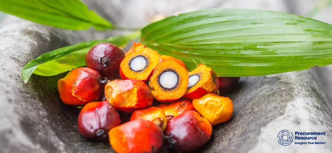 Spot Palm Oil Price
