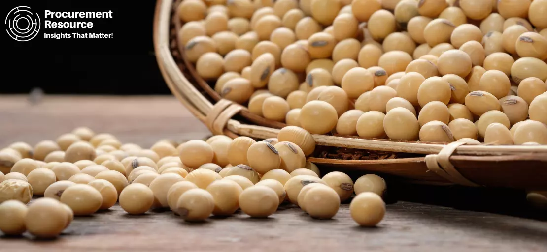 Latin American Soybean Meal Premiums Reached