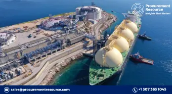 LNG plant is Sierra Grande