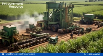 Sugar Prices Rising in India Amid Ethanol Demand and Low Sugarcane Production