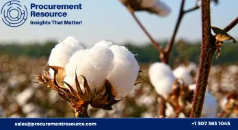 Cotton imports might see a rise